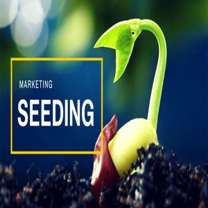 Seeding marketing là gì