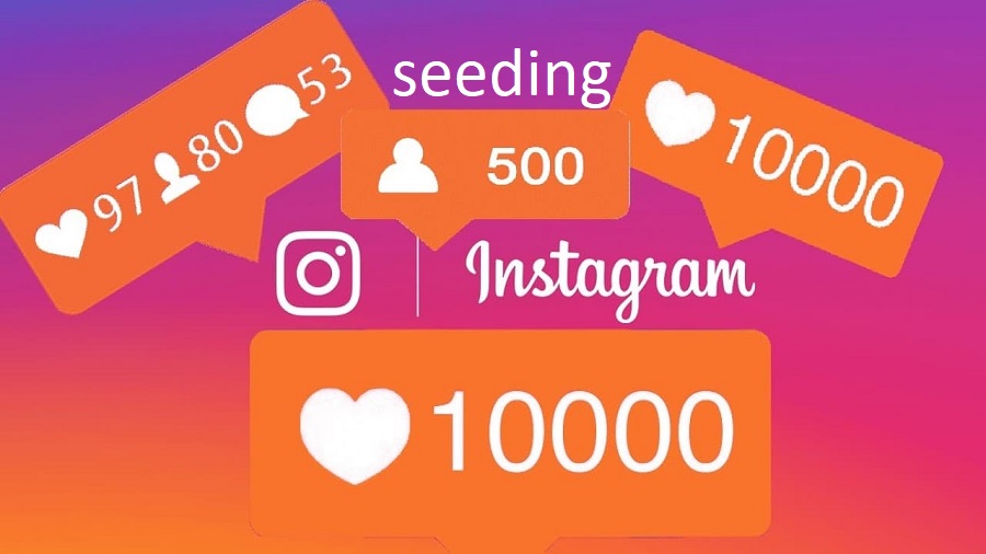 seeding-instagram